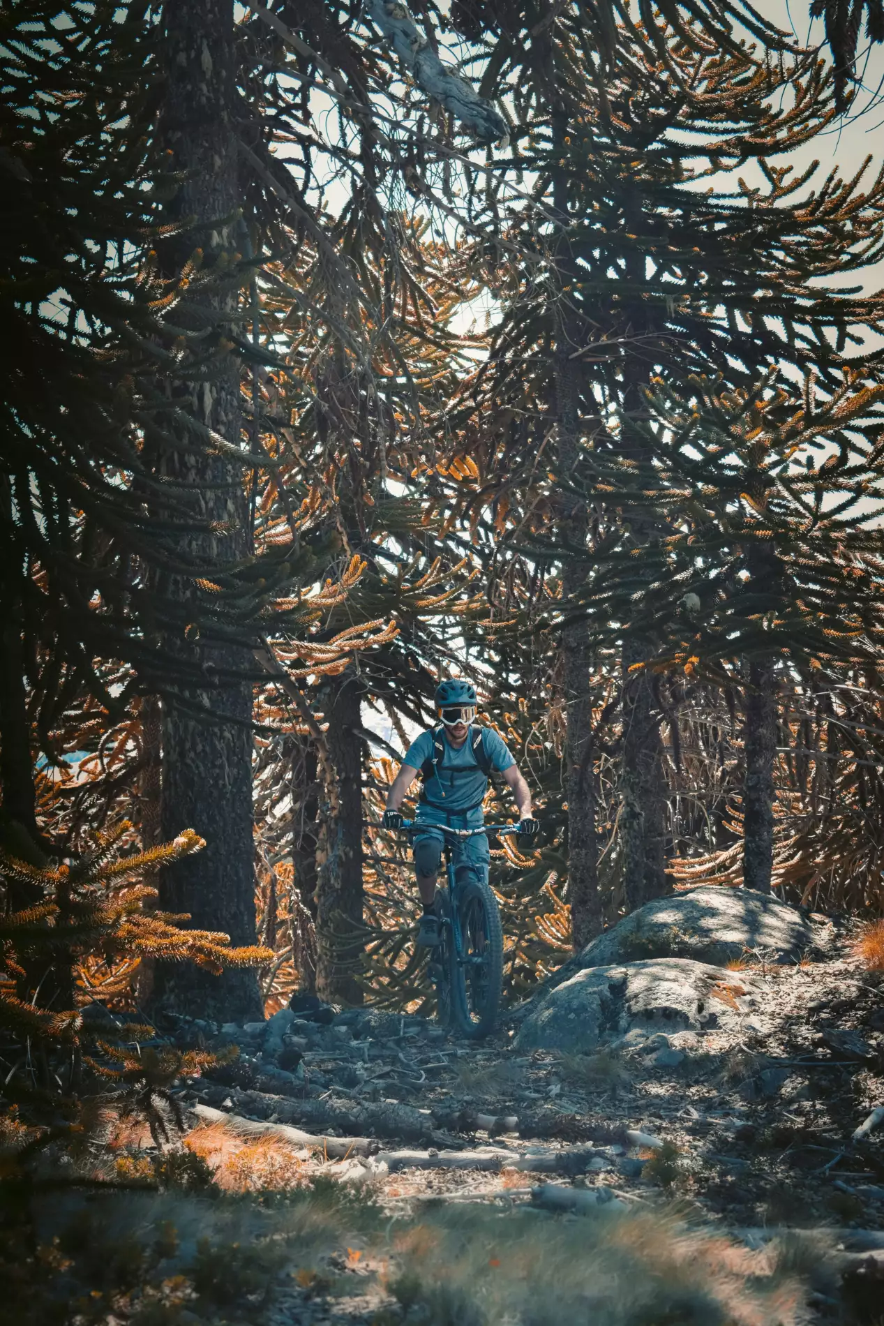 Fermin rodriguez penelas 9iedq9 Ms Vys unsplash